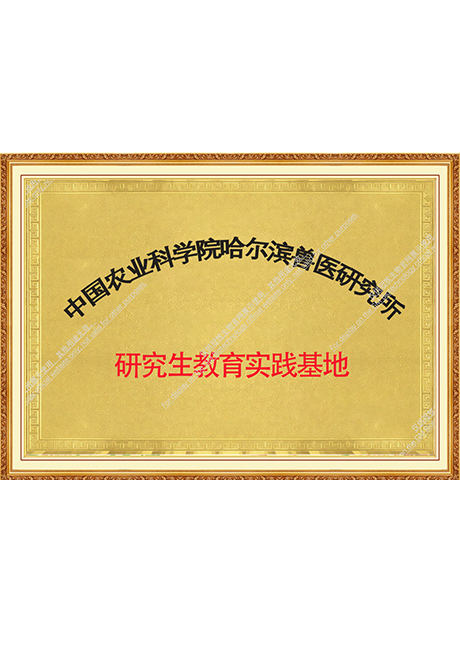 Certificate Of Honor
