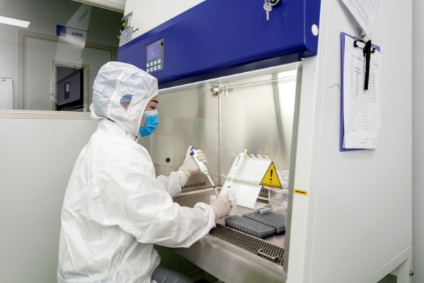 African Swine Fever Breaks Out, Rapid Detection Helps Accurate Prevention And Control