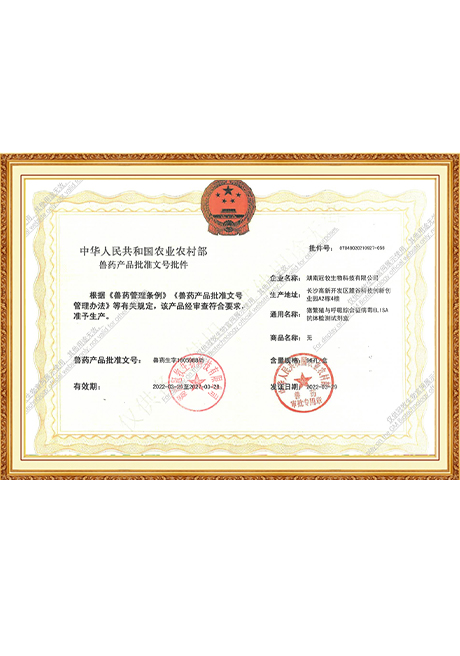 Certificate Of Honor