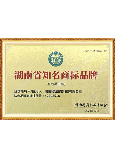 Certificate Of Honor